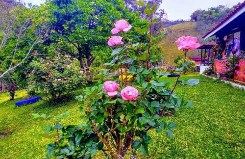 Sítio Recanto do Araçá - Foto 59