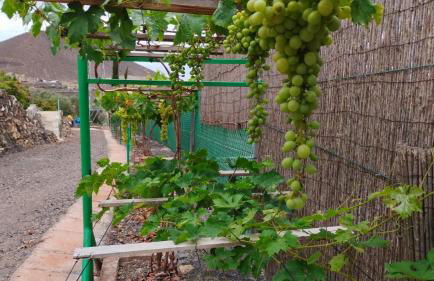 Home2Book Fantasy Villa & Nature, Private Pool - Foto 51