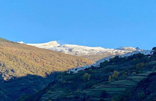 Casa Alpujarreña Fina Número 27 - Photo 47