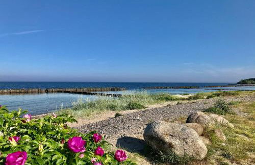 modernes Ferienhaus mit eigener Terrasse und kleinem Garten - Ferienhaus Liva - Photo 29
