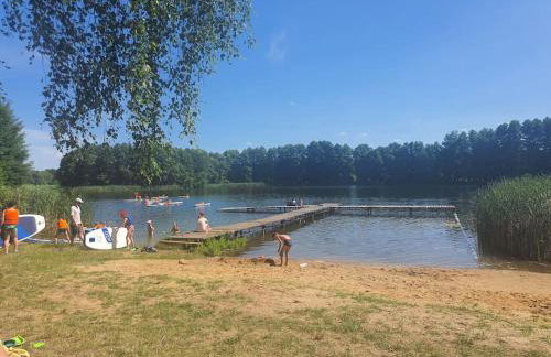 Holenderki na Zielonych Wzgórzach, Łowyń - Foto 50