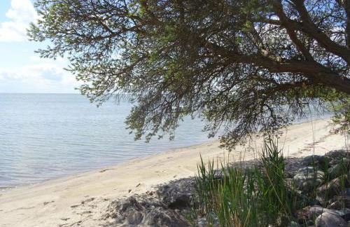 Appartement Werft & Meer - Foto 39