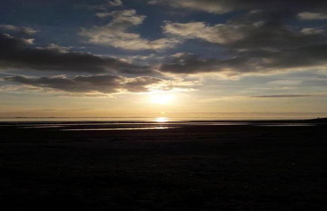 Holiday Home in Scherpenisse Near the Sea - Photo 34