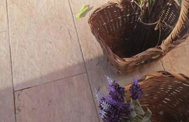 Casa dos Malmequeres - Photo 10