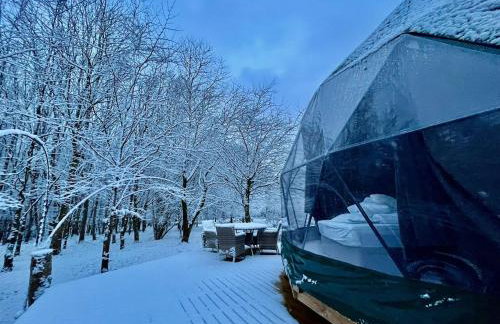 Woodland dome - Foto 12