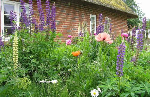 Haus-Falkenberg-1 - Photo 24