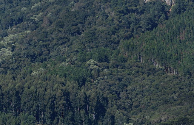 Cabana Villa Arandú - Foto 50