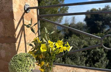 Casa Maritimo - Foto 28