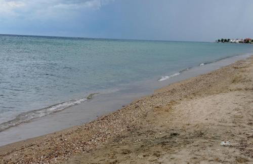 PERLA apartments - Photo 33