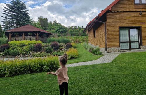 Bieszczady Domek u Pączka - Foto 6
