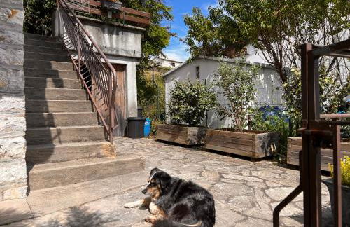 La Lusette-Malaparade - Foto 55