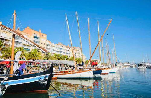 Les flamants Roses la Capte Clim 4pers 100m plage - Foto 28