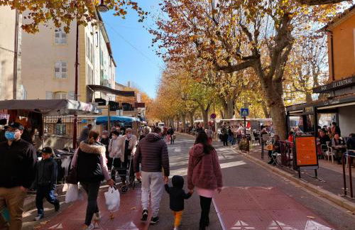 Pretty Provencal bastide - Foto 18