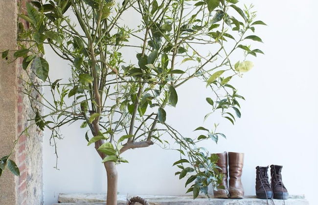 Mas Vivent - Photo 55