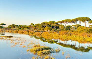 Casa Marinera en El Rompido - Foto 33