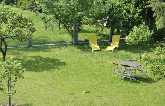 Pear - On the Fruit Tree - Foto 15