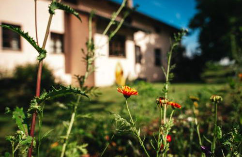 Haus Archaeopteryx – privater Außen-Pool – einzigartig im Naturpark - Foto 24