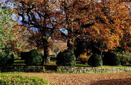 Agriturismo Il Ponticello - Foto 50