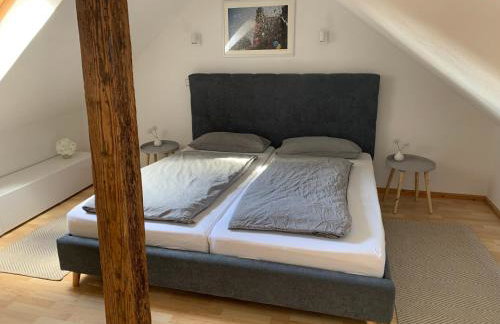 Zentrale Altbauwohnung mit Flair - Foto 8