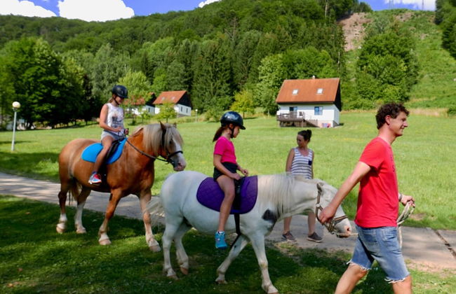 Mansion in Starkov Near Acitvities - Foto 17