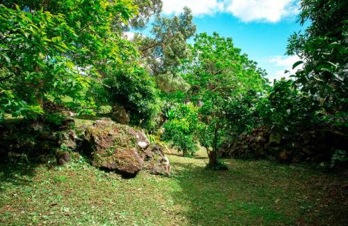 Casa de Campo Franco da Serra - Photo 47