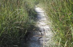 Chez Maria - Foto 42