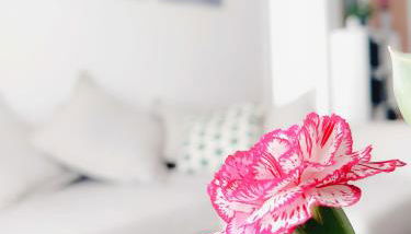 Alojamiento Amelie con Wi-Fi gratis - Foto 1