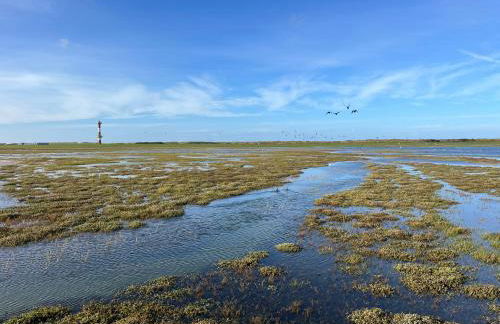 Apartment mit Meeresblick Wangerooge - Foto 39
