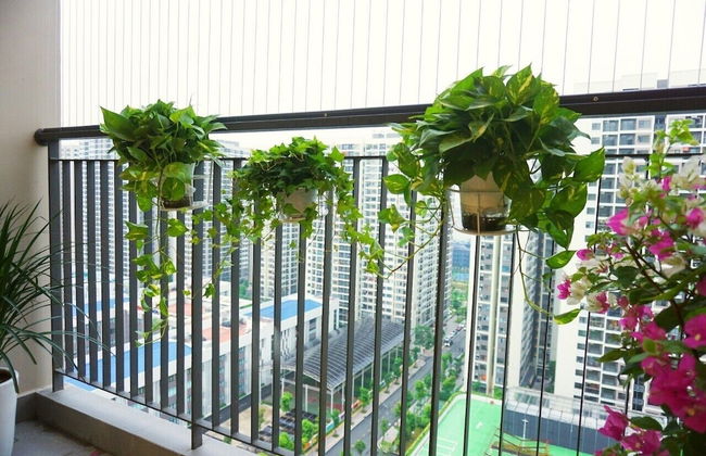 Park Hill Times City Apartment - Foto 50