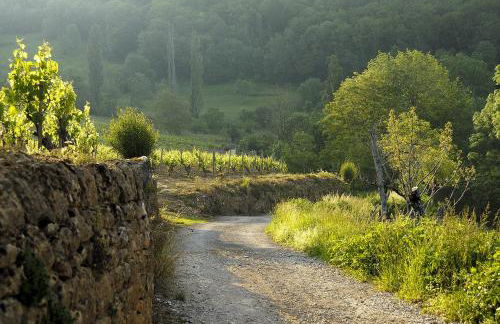 Gite de la Cascade - Photo 10