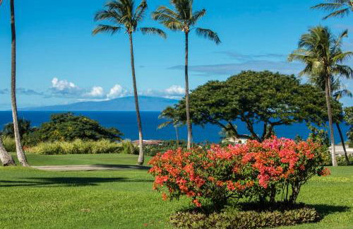 Upscale Wailea! 2-2 with Ocean View - Foto 38