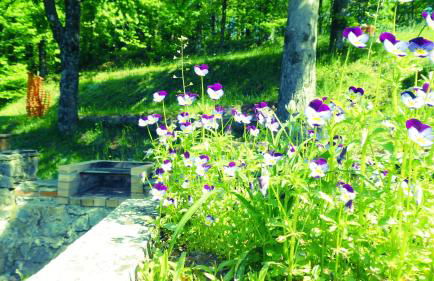 Cascina Marasca Appartamento Sole - Foto 21