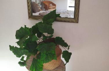 Ferienwohnung Moselherz - Foto 22