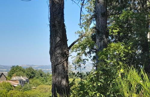 Les Gîtes de Roucayrols - Foto 22