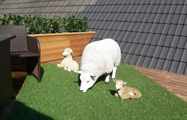 Nordsee Domizil Schobüll - Foto 57