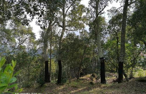 Casa Douro Terrace - Foto 53