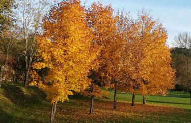 Gîte le Pech - Foto 16