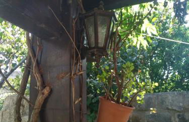 i dammusi di Egle - Foto 6