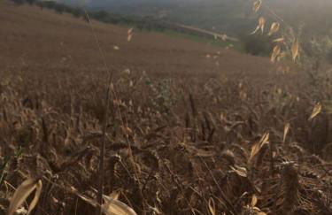 Azienda Agricola Perconti - Foto 61