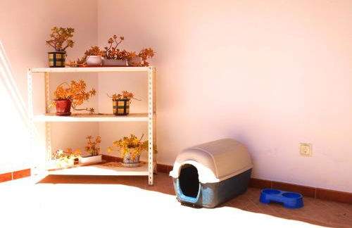 Chalé Chafaris D'el Rei - Foto 24