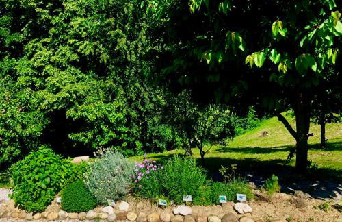 Odisea Hill House - Modern Holiday Home with swimming pool, sauna, jacuzzi, WiFi and 2 bedrooms, near Varazdin - Foto 34