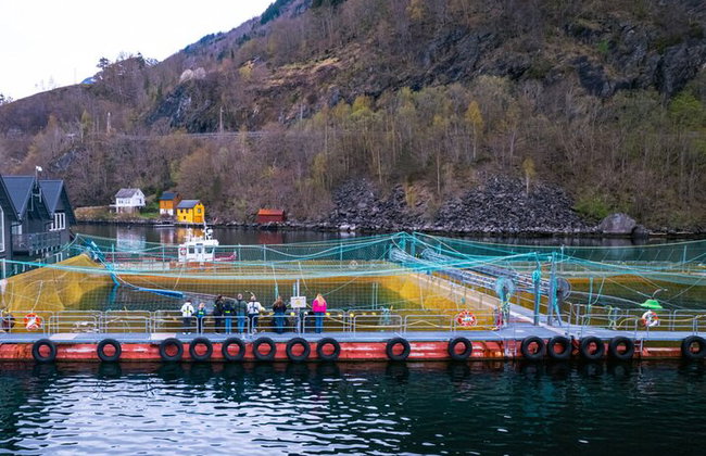 3Tage von Bergen nach Hardanger Sognefjord (oder preikstolen), Oslo - Foto 17