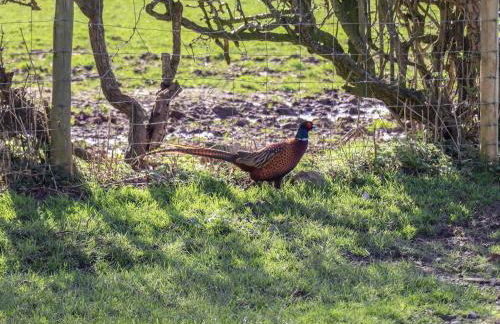 The Old Parlour - Photo 19