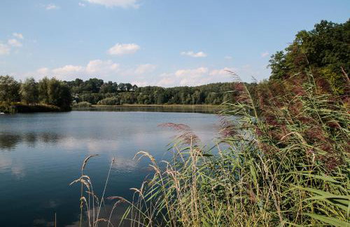 Ferienwohnung zur alten Tischlerei - Foto 6