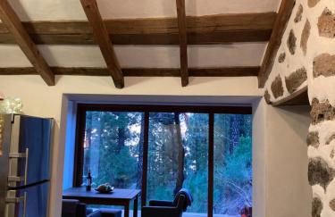 Bodega Linda - Foto 16