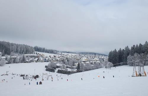 Ferienhaus Sonnengelb im Herzen des Schwarzwaldes - Foto 27