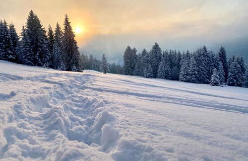 Fewo Längerer - Foto 23