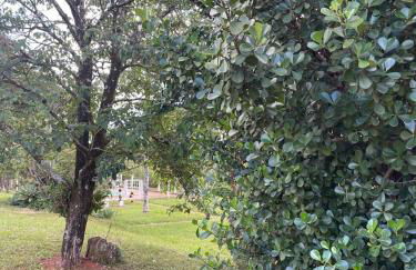 Casa de chácara em Araxá belezas naturais - Foto 18