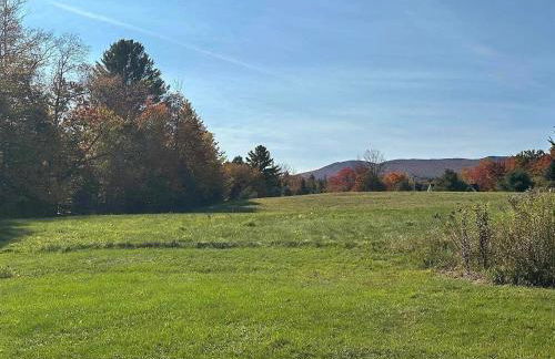 New! Designer 3BR Cabin Walk to Pond Mtn Views - Foto 15