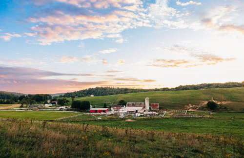 Downtown Escape Great for large families & groups - Foto 21